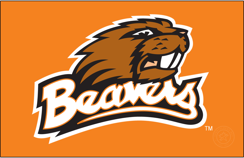 Oregon State Beavers 1998-2006 Primary Dark Logo diy DTF decal sticker